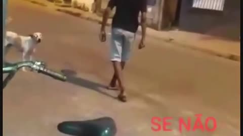 Serie vida de cachorro parte #4
