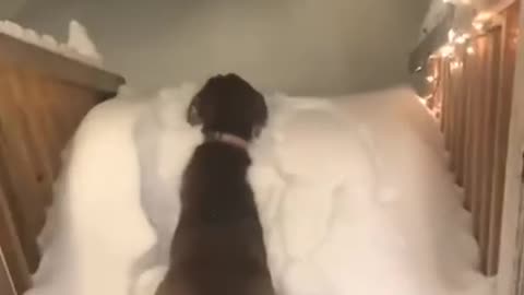 OMG! ❄️❄️❄️😅