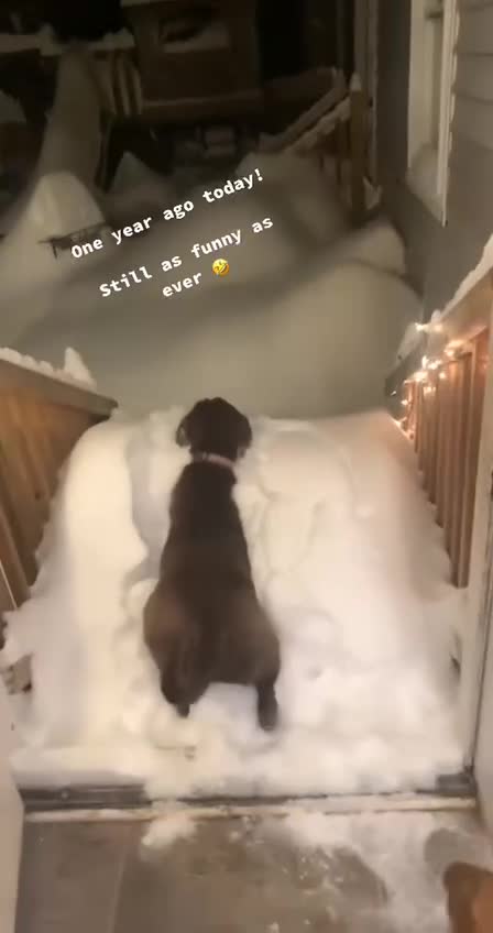 OMG! ❄️❄️❄️😅