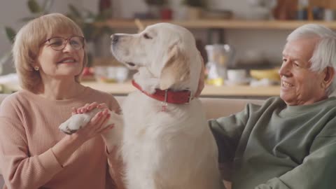 The Unseen Benefits of Adopting a Senior