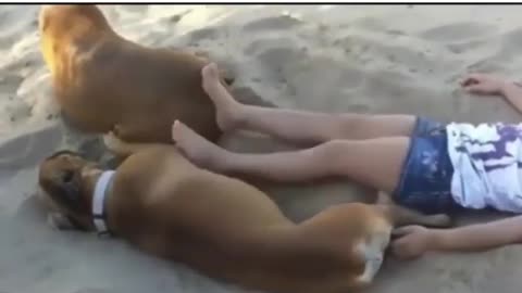 Fanny Video