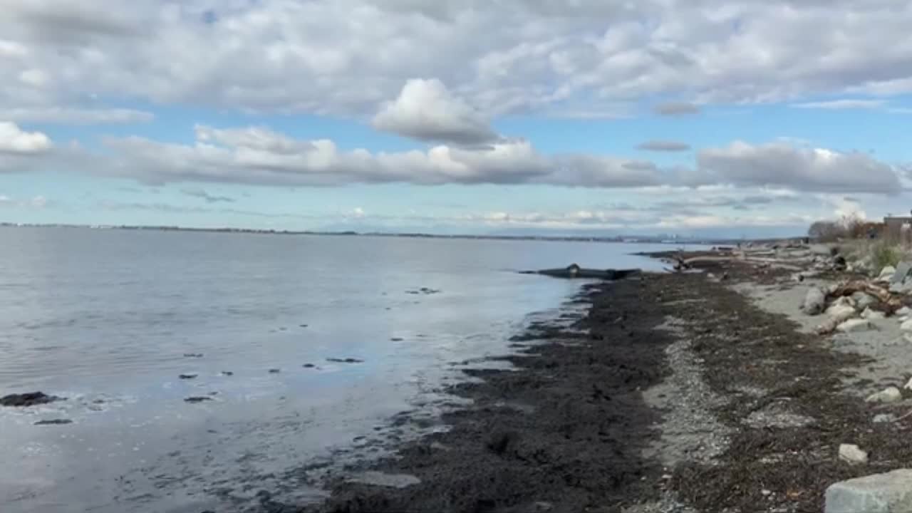 classical music relax whit ocean view the sound of smashing waves