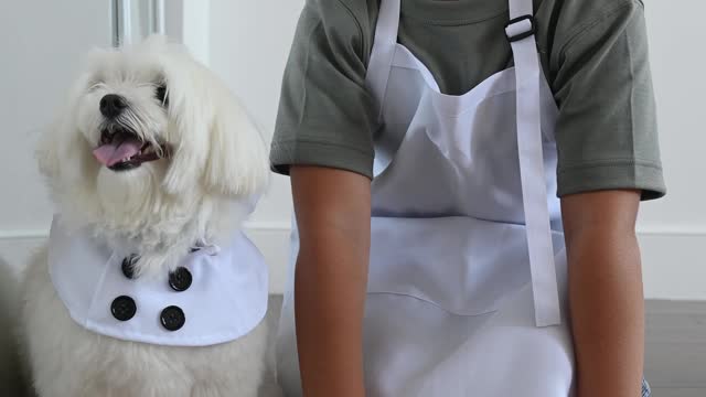 Dogs Love Taking Care Of Their Little Sister | Kid's Best Friend