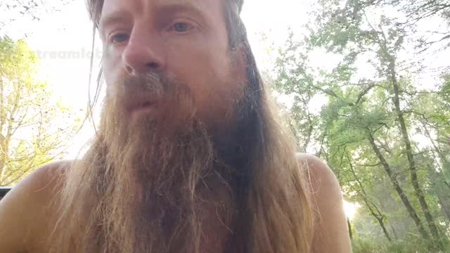 2022-07-17 (3) - test de connexion en forêt - Twitch Triskelina