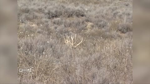 Why Fourth Arrow/ With Ralph and Vikki