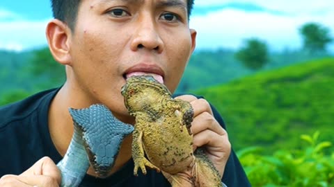 Which Is Tastier? Snake or Frog?