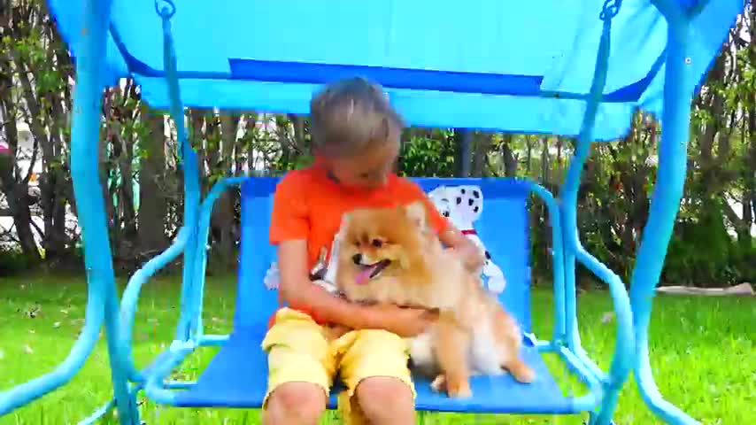 Vlad and Mom exchanged cat and dog pets Vlad and Niki