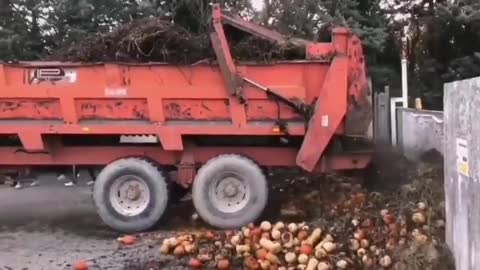 France the vigorous protest of farmers in Nimes 😂