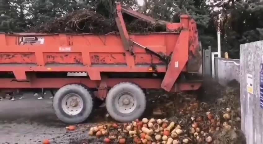 France the vigorous protest of farmers in Nimes 😂