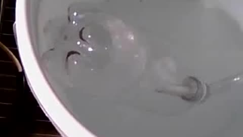 flow test from cell