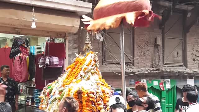 Asa Maru Ajima | Annapurna Jatra