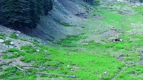Beauty of Pakistan