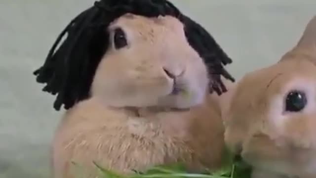 Out of every thing I watch I think that this is the cutest!