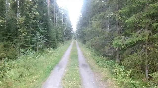 Meitä seurataan - Indy Angel