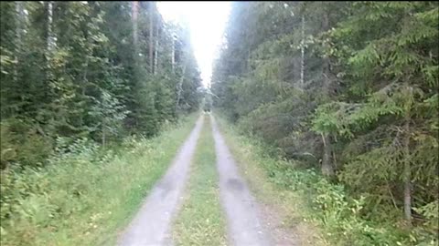 Meitä seurataan - Indy Angel