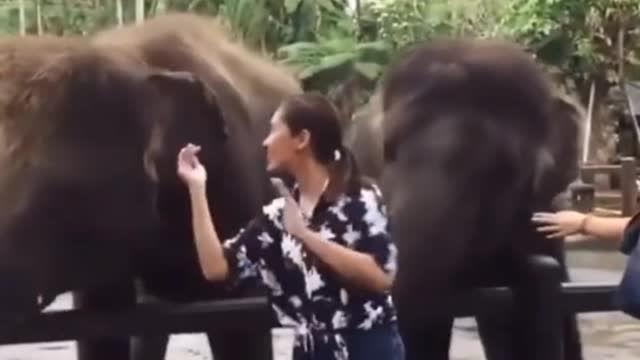 ❤I was playing 2ith elephants and had a lot of fun enjoy