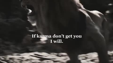 motivational quotes (31)