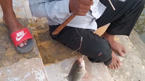 Fishing in pond with amezing skills...