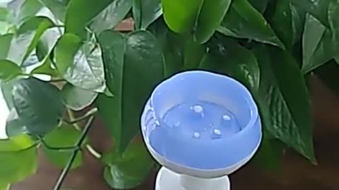 Soapt. Dispencer Gadge