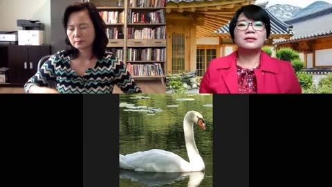 오차원 수다 - Covfefe 와 5G