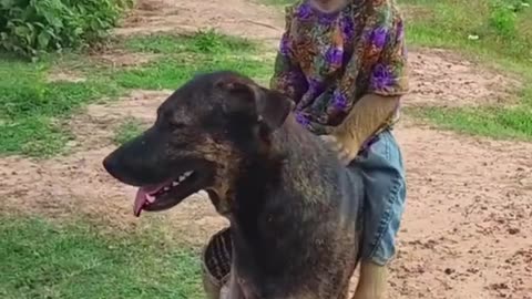 Dog with naughty monkey 🐒