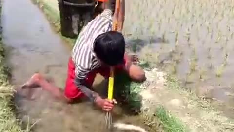 Awesome Kids Fishing in the Natural Beautiful Field