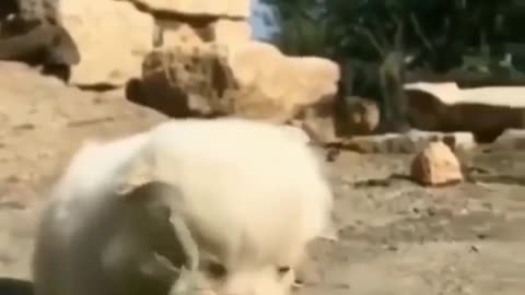 Good friendship