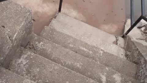 Hurricane Mill 1896 in Tennessee