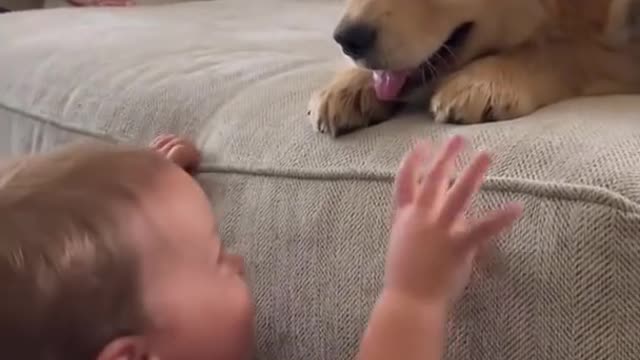 Baby kisses puppy