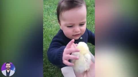 Funny and Cute Baby Moments - 1001 Funny Baby Reaction When Play with Chicken - Funny Videos