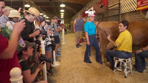 ❌ Il politico Cary Lake sta mungendo una mucca in Iowa