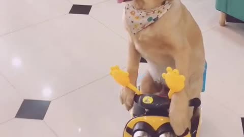 HE JUST PASSED THE DRIVING TESTS