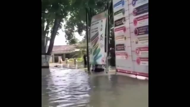 Funny Video (meme Random) Compilation #2