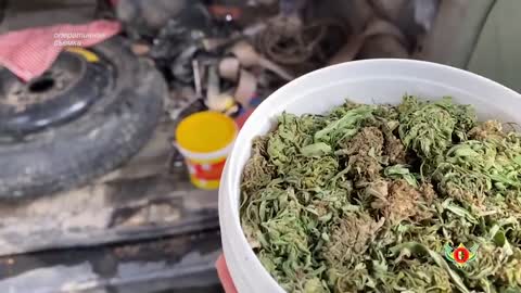 Оперативная сводка МВД Абхазии - Выпуск 25.12.2021