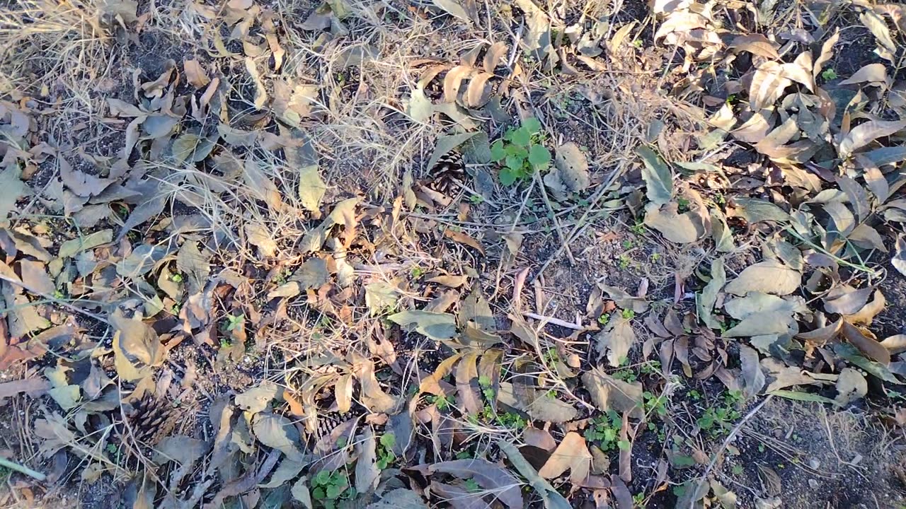 Still growing in November lol