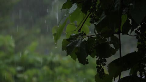 RELAXING RAIN SOUND FOR SLEEPING//SOOTHING SOUND TO RELAX