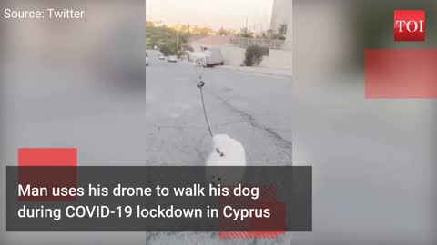 Man uses drone to walk his dog during COVID 19.