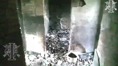 A new era of military reconnaissance: Miniature Black Hornet Nano drone in Ukraine