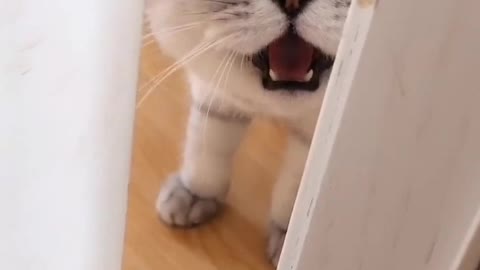 A childlike face