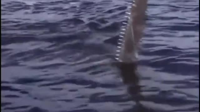 Do you know what that is?