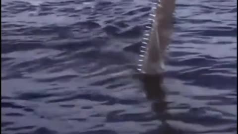 Do you know what that is?