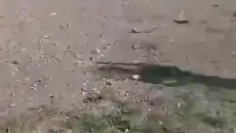 Islamic Azerbaijani “soldier” screams ‘Allahu Akbar’ standing atop am Armenian Conquered Church