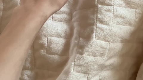 Pets Sleeping Underneath The Bed Sheet
