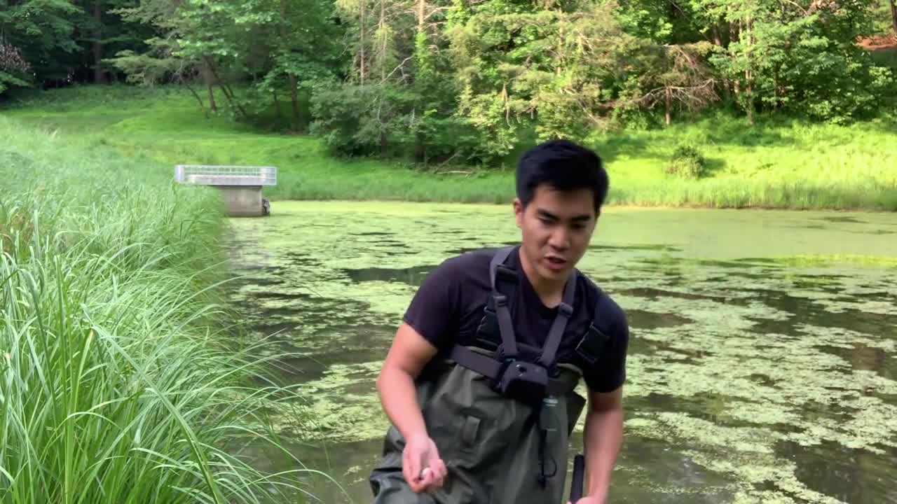 Experiment fishing with the live frog