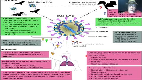 Kowid Aula 2 - 25/01/2022 - Fisiopatologia