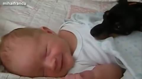 Cute Dog Sleeping With Baby