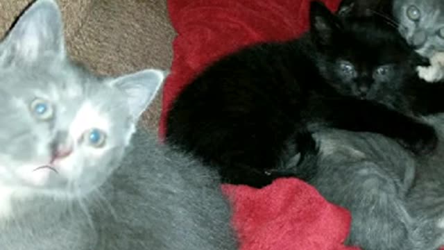 Nip runners in training