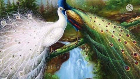 Good morning status birds love