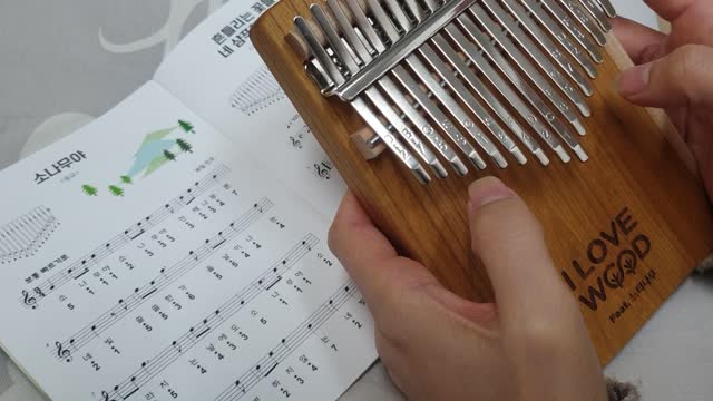 Kalimba play