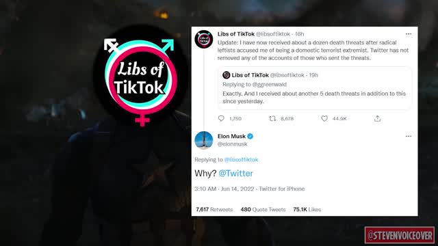 Elon Musk Comes To The Aid Of Libs Of Tik Tok